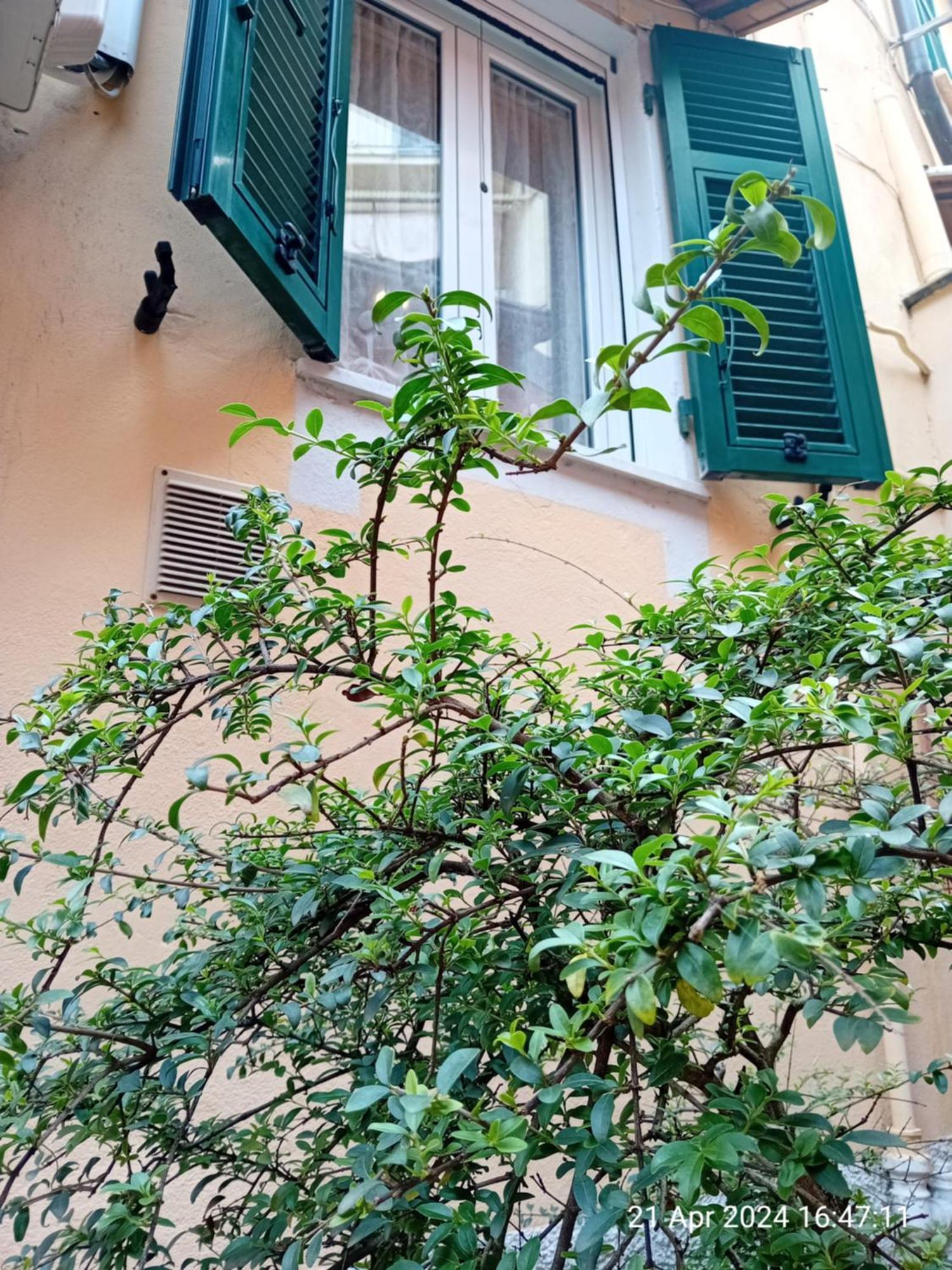Appartamento Il Vicolo La Spezia Cinque Terre Exterior photo